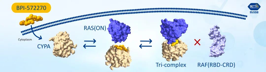 1769678179356129.jpg 微信图片_2026-01-29_171504_528.jpg